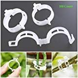 AKOAK 100 Pcs Plant Support Clips for Garden Tomato Garden Vegetables Vine to Grow Upright and Makes Plants Twine Clips Vine, Beans, Vegetables, Fruits, Rose.
