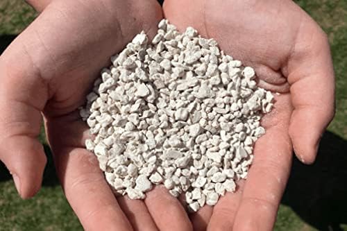 10 Pounds All Natural Crushed Oyster Shells for Poultry Birds and Gardens - Garden Naturals