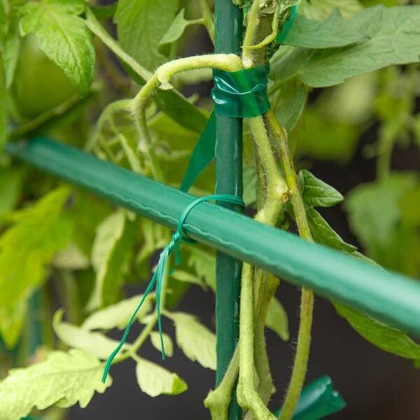 Rocky Mountain Goods Twist Ties for Plants - 100 Pack 8” Garden Twist Ties for Climbing Plants, Outdoor, Indoor, Flowers, Vines - Reusable Green Plant Wire