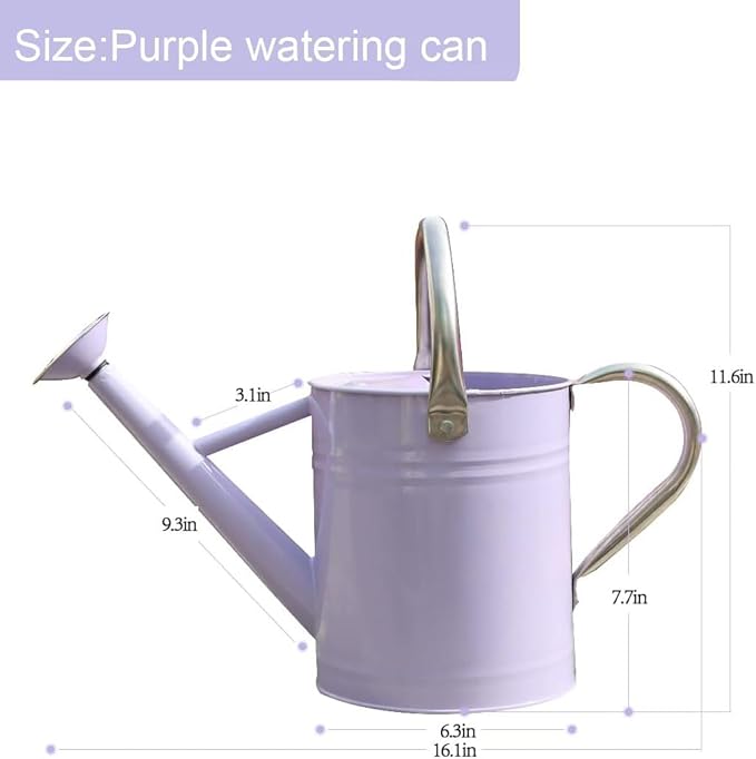 Metal Watering Can 1 Gallon with Removable Spout, Ideal Plant Watering Can for Indoor and Outdoor Plants (1 Gallon Purple)