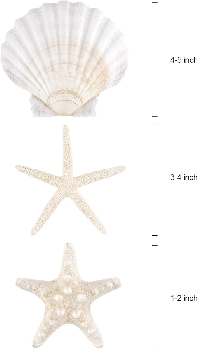 PPCLION 12 PCS Natural Starfish 4-5" and Scallop Shell for Crafts Making Beach Theme Party Wedding Decoration, Home Wall Decor, Christmas Ornaments