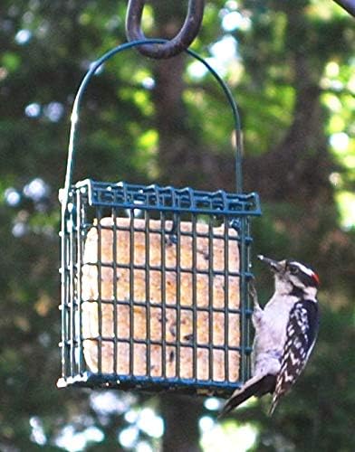 Wildlife Sciences Suet Cake Jumbo Mixed (Pack of 20) | 10 Peanut & 10 Berry 10.5 oz. Suet Cakes for Wild Birds