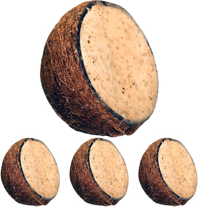 Unipet WB200 10 oz Suet to Go Mealworm (Pack of 4)