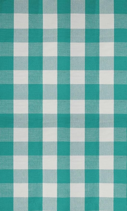 SEEKSEE Buffalo Plaid Outdoor Rug 3'x5' Light Blue and White Checkered Area Rug Washable Doormat Cotton Boho Bedroom Rug for Kitchen Entryway Hallway Front Door Farmhouse Living Room