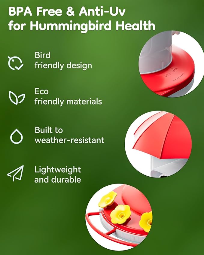 Hummingbird Feeder with Camera, Hummingbird Feeders for Outdoors with 2K Bird Watching Camera, AI Identify Species, Ant & Bee Proof, Instant Notification, Idea Gift for Bird Lover