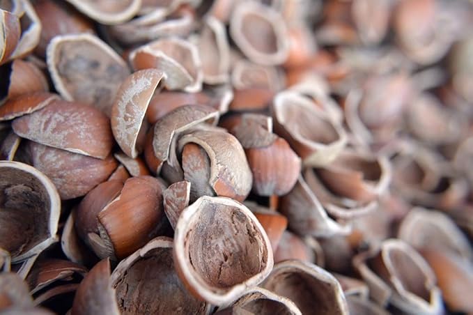 Hazel Shell Mulch Amendment Product - 6 lbs (Hazelnut Shells)