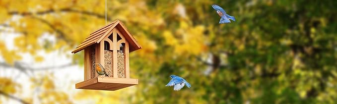 Large Bird Feeder for Outside Clearance, Hanging Birdfeeder for OutdoorCedar Wood Wild Bird Feeder- Holiday Delight, 10 Lbs Seed Capacity Wood Birdfeeder. (Chalet)