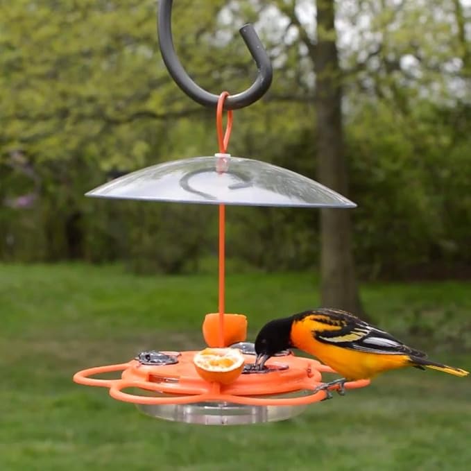 Nature's Way OFP1 All-in- Oriole Buffet Bird Feeder,Orange,(Pack of 6)