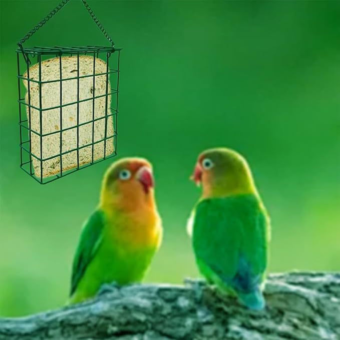 Suet Cake Bird Feeder Hanging Wild Bird Feeder for Outdoor Garden Cages Outside Suet Fruit Capacity Feeders (2 Pcs Green)