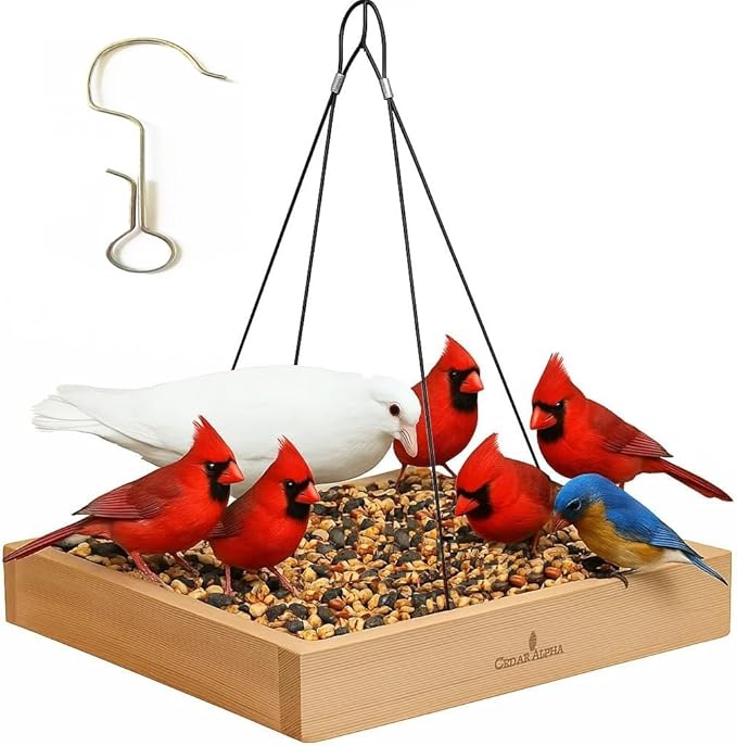 Cedar Wood Platform Tray Bird Feeder 12” - Hanging Bird Feeder for Outside Outdoor - Stainless Steel Cable Mesh Base - Weather Proof Birdfeeder for 10 Years - Longtime Outdoor Lasting Heavy Duty