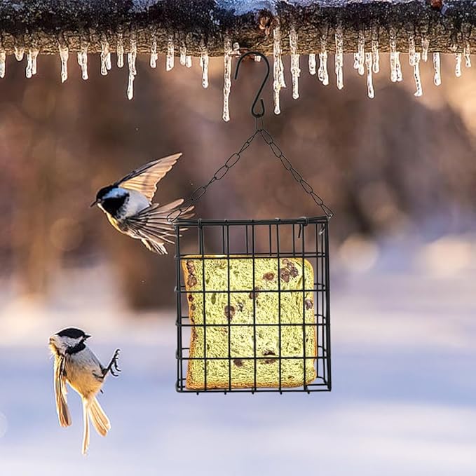 2PCS Outdoor Suet Cage Bird Feeder, Wild Bird Feeder with Single Suet Cake Capacity for Hanging Outside