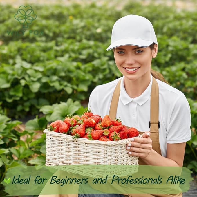 Rare Strawberry Seeds for Planting β 300 Non-GMO Heirloom Seeds - Extra Big, Juicy, Sweet Strawberries