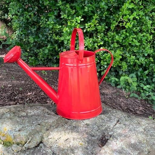 Metal Outdoor Watering Can, 1.2 Gallon Galvanized Steel with Sprinkler Head – Red