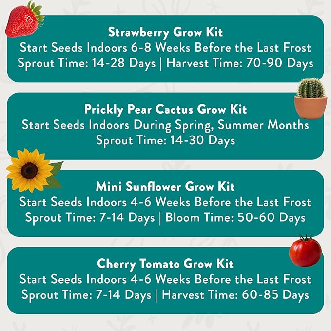 Modern Sprout Complimentary Color Grow Kits (Pack of 4) - Seed Starter Kit - Includes Organic Strawberry Tomato Sunflower & Cactus Seeds - Easter Basket Essentials - Gardening Gifts that Grows w/Love