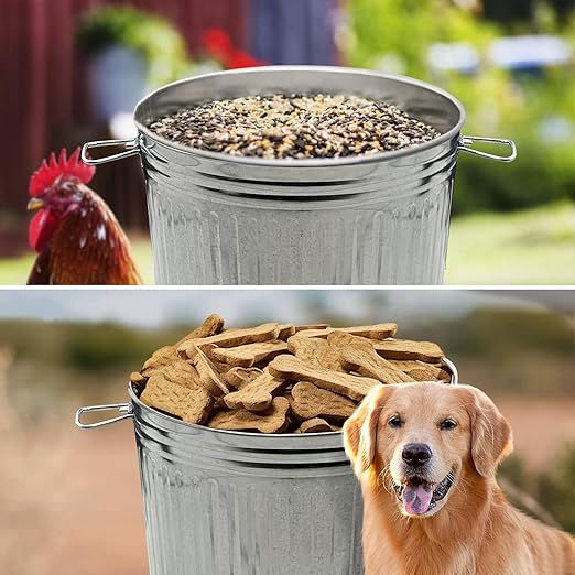 Plexon Metal Trash Can with Lid Outdoor 20 Gallon Galvanized Steel Garbage Bucket with Lid Silver