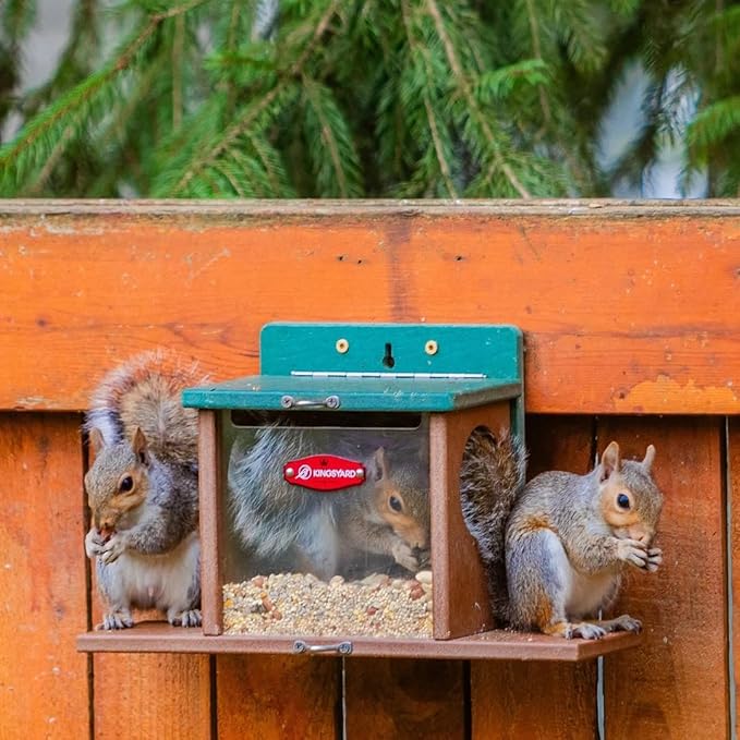 Kingsyard Squirrel Feeder Box for Outside, Recycled Plastic Squirrel Feeder Box with Corn Cob Holders, Easy to Refill & Clean, Weather-Proof Roof (Green)