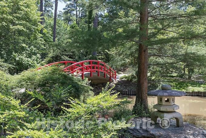 Historic Pictoric Photo - Japanese-Style Arched Bridge at The Sarah P. Duke Gardens, a 55-Acre Public Garden on The Campus of Duke University- Fine Art Photo Reporduction 12in x 08in