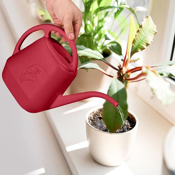 Watering Can - for Home Plant Garden - 1 Gallon - Wine Red