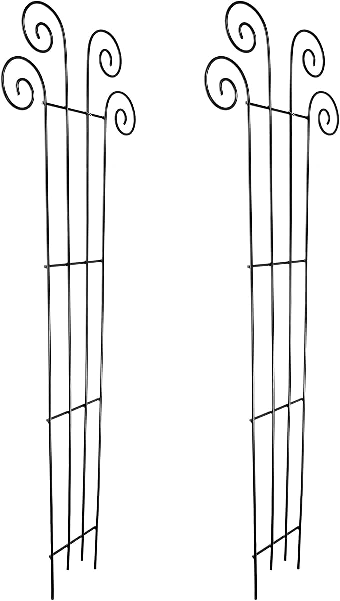 Hosley's 48" High Set of 2 Wave Iron Trellis Ideal Gift for Floral Arrangements Wedding or Party and Use Next to Structures Home or Office or in Planters for Growing Floral Plants Vines and Vegetables