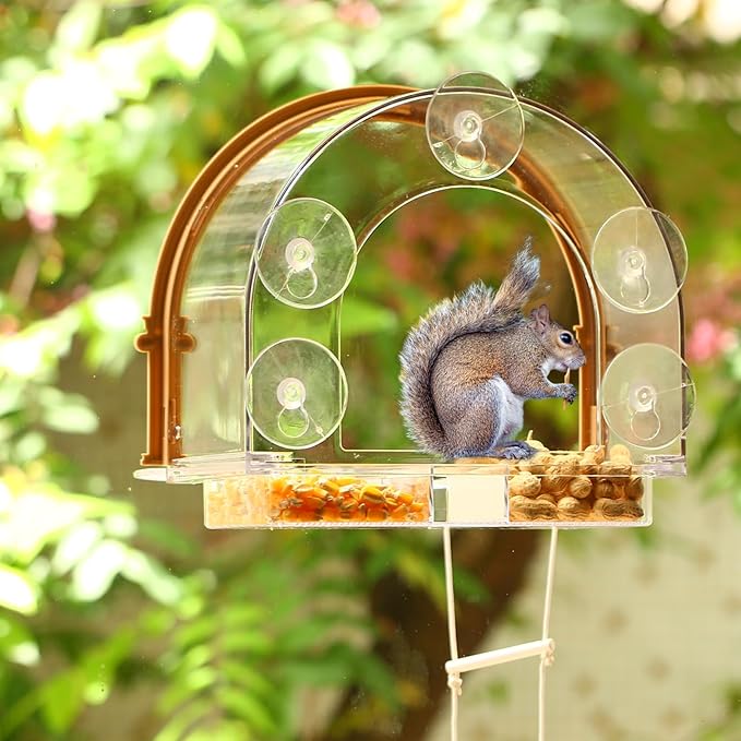 Window Squirrel Feeder, Large Squirrel Feeder for Outside,Funny Squirrel House with 5 Suction Cups,Plastic Squirrel Feeder which Easy to Install,No Assembly Required