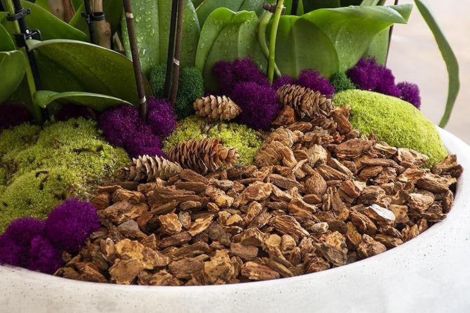 SuperMoss (23114) Orchid Potting Bark,Natural,4 quarts,(Pack of 8)