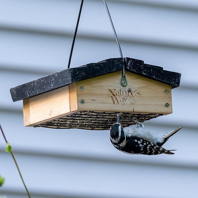 Nature's Way Bird Products CWF2 Cedar Suet Upside-Down Bird Feeder, Black