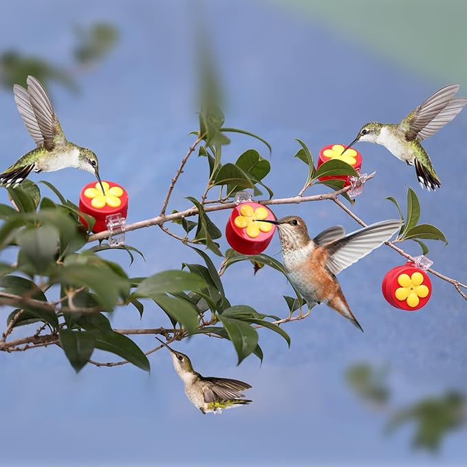 4 Pack Handheld Hummingbird Feeders, Mini Plastic Window Hummingbird Feeders with Clips for Balcony Railing, Flowerpot, Tree Branch