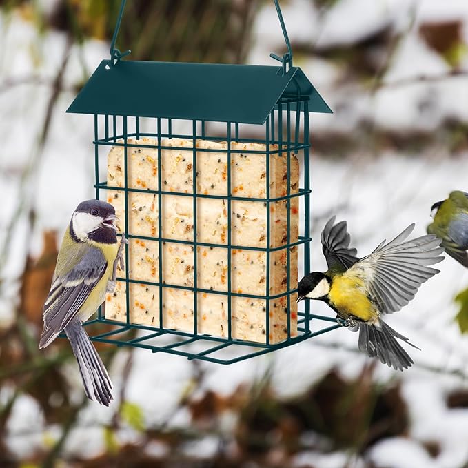 Nuogo 4 Pcs Wild Bird Feeder Squirrel Proof Outdoor Hanging Suet Holder with Metal Roof and Platform Outside Cake Suet Feeder Rainproof Cage for Oriole Hummingbird Chickadee Nuthatch(Dark Green)
