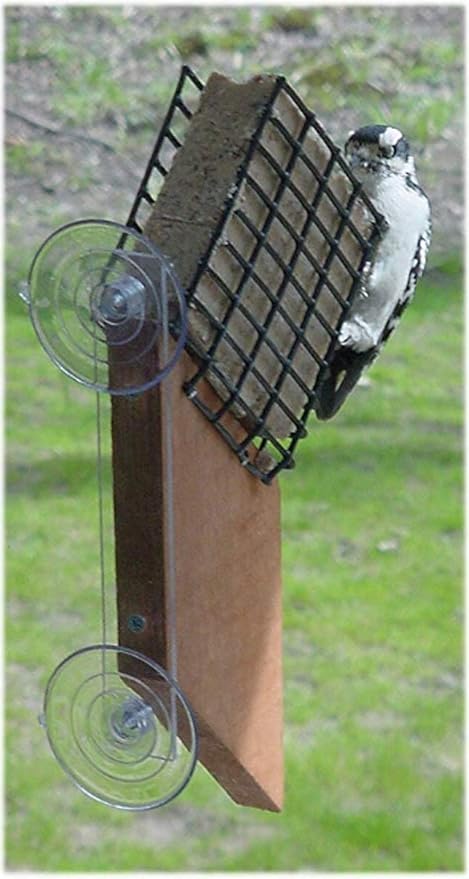 Songbird Essentials SE539 Suet Window Feeder (Set of 1)