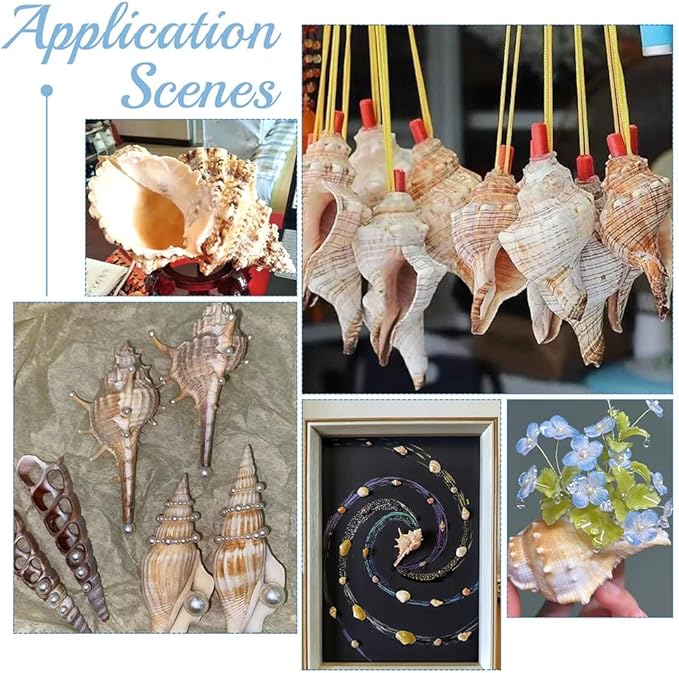 PH PandaHall 4pcs Conch Sea Shells, 2.4-4.7inch Natural Beach Seashells Succulent Planters Decorative Holder for Vase Filler Fish Tank Aquarium Home Garden Table Decor Beach Theme Wedding Party