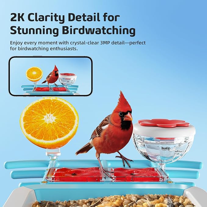 Bird Feeder with Camera 2K HD AI Smart Identify BirdSpecies Solar Panel Outdoors Birdhouse with Cam, Instant Arrival Alerts, Capture BirdVideo, Gifts for Mom Dad