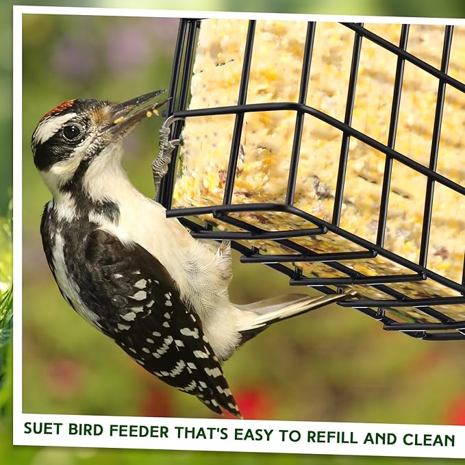 Zhehao 6 Pcs Suet Bird Feeders Outdoor, Hanging Wild Bird Feeder with Single Cake Capacity, Weatherproof Metal Suet Feeder for Garden Yard Outside Decoration, Easy to Clean & Hang (Black)