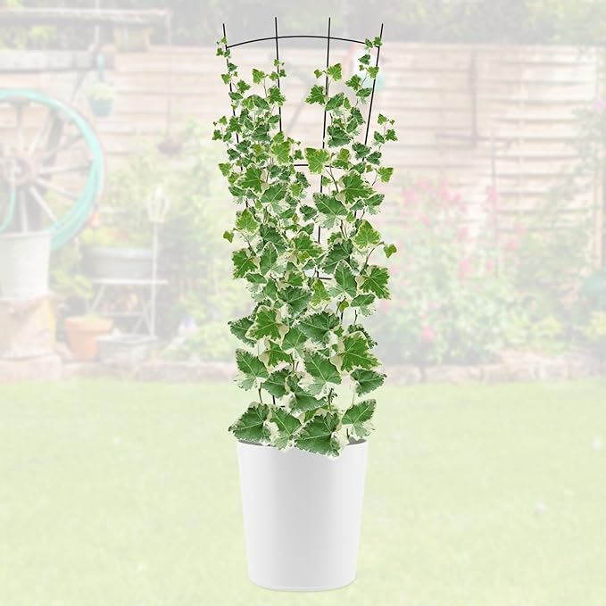 4 Pack 32'' Black Metal Plant Trellis Indoor/Outdoor, Fan Shape, Stainless Steel, Modern Style, Easy Assembly