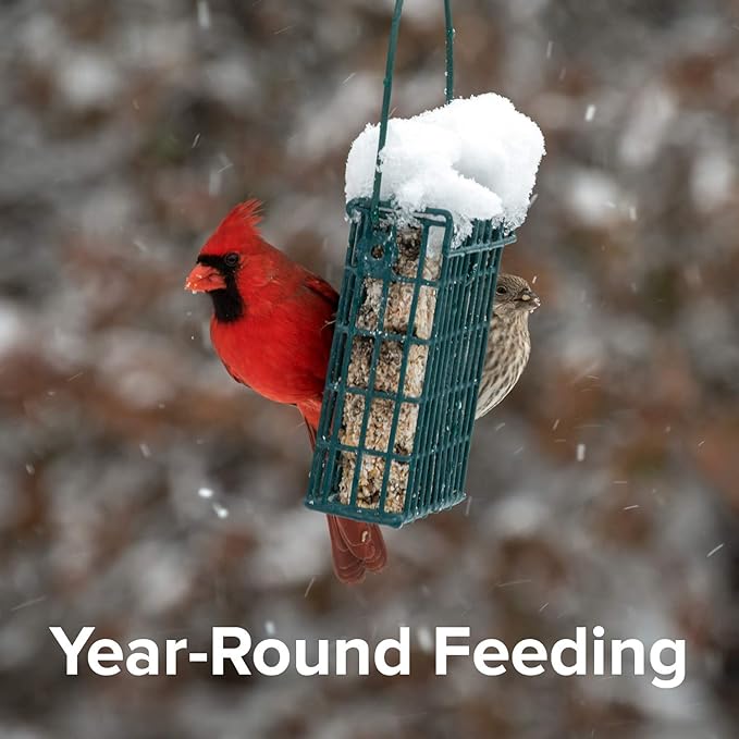 Blue Seal Cranberry Snap Suet Cakes for Wild Birds - No Mess Feed, Food for Woodpeckers, Cardinals, Siskins, Sparrows & More - 11oz Suet Feeder, Bird Seed Cakes (Pack of 12)