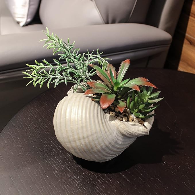Faux Succulents in Conch Sea Shell Home Decor,Coastal Beach Decorations for Home Bathroom Ocean Seashell Decor Series for Home Beach Decor Theme Party Favors (Without Drainage Hole)