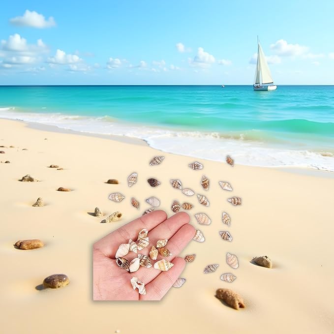 30Pcs Tiny Sea Shell Ocean Beach Spiral Seashells Craft Tiny Miniature Fairy Garden Beach Critter Seashells Beach Theme Party Wedding Decor Mini Conch Home Décor Products