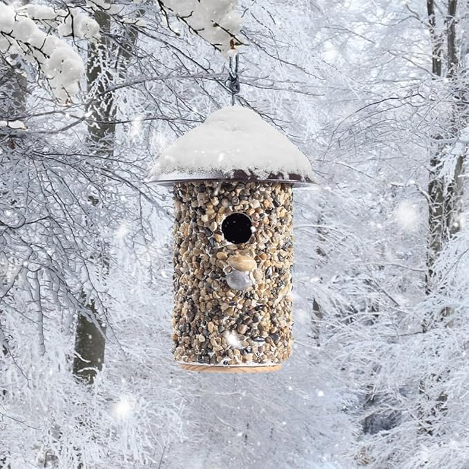 Outdoor Wren Bird House with River Pebble Composite Roof – Decorative Wooden Nesting Box for Wrens, Finches & Small Songbirds – Weather-Resistant Hanging Backyard Habitat, 10 Years (Black