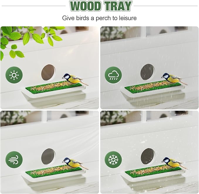 Window Bird Feeder Inside House Bird Feeder Window 180°for Viewing (418 with Tray)