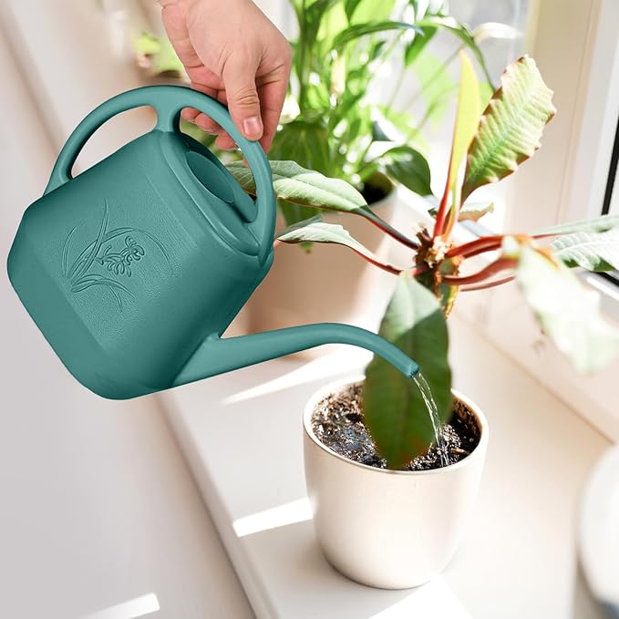 ZXJ Plant Watering Can - for Indoor and Outdoor Home Garden Plants - with Long Spout - Green - 1/2 Gallon