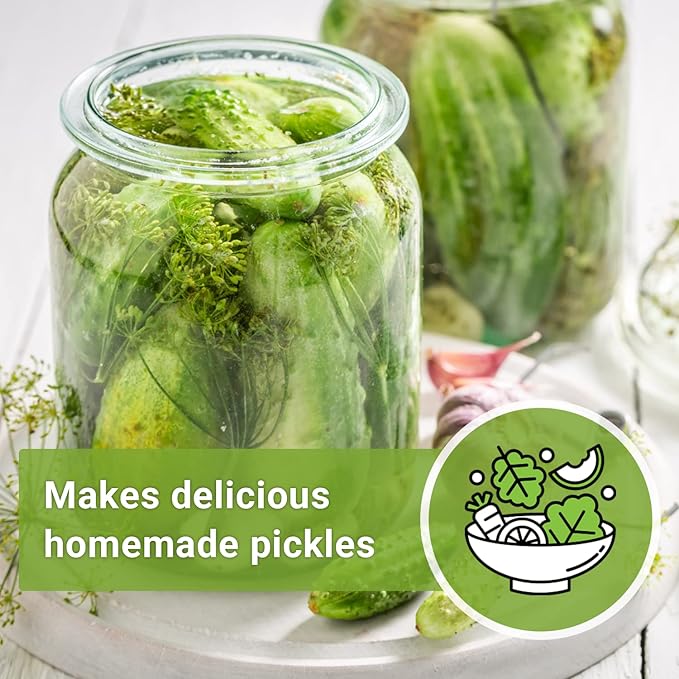 Sow Right Seeds - National Pickling Cucumber Seeds for Planting - Non-GMO Heirloom Packet with Instructions to Plant and Grow a Home Vegetable Garden - Famous Variety for Homemade Pickles (2)