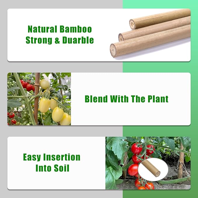Plant Bamboo Post,4Feet,Bamboo Garden Stakes,65PcsBamboo Stakes,for Tomato,Beans,Vegetable and Flowers, Potted Plants,Indoor and Outdoor Climbing Plants