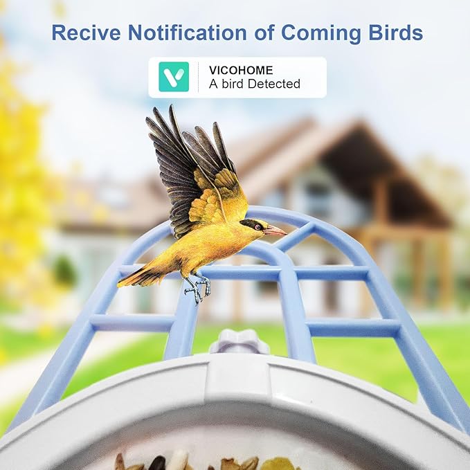 Squirrel Feeder with Camera Solar Powered,Bird Feeder Camera with AI Identify Birds Species,1080P HD Squirrel House with Camera Auto Capture &Videos,Free 64GB SD Card,Ideal Gift for Bird Lovers