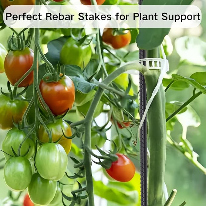 Rebar Stakes 24 Inch 40 Pack Straight Metal Stakes for Ground 1/2 Inch Diameter Landscape Timber Spikes with Chisel Point End for Plant Support, Concrete Form and Fence, Black