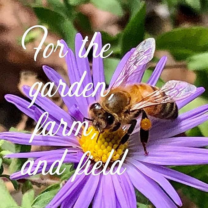Wildflower Seed Bulk, 3 Oz. (80,000+ Seeds) โ 19 Non-GMO Flower Seeds for Shade, Annual & Perennial Wild Flowers Mix for Partial Shade โ Shade Tolerant by Mountain Valley Seed