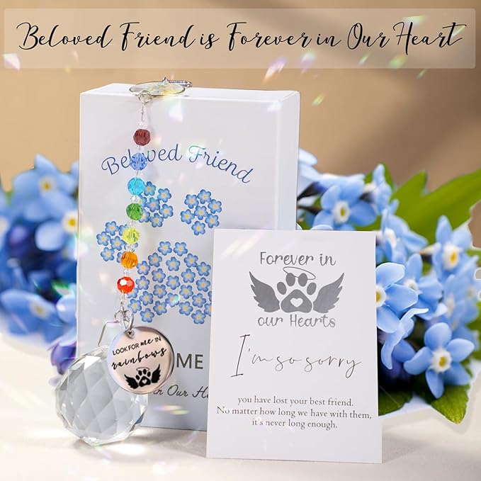 Pet Memorial Suncatcher Loss of Dog Sympathy Gift, Rainbow Bridge Dog Bereavement Cat Memorial Gifts, Passing Away Remembrance Gifts (1, Heart)
