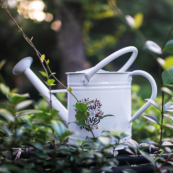 1 Gal Galvanized Steel Watering Can Decorative Farmhouse Style Watering Can, Removable Rosette-Diffuser, Perfect for Indoor and Outdoor Use (1 Gallon White with Floral Design, 1 Gallon)