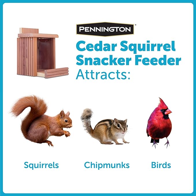 Pennington Cedar Squirrel Snacker Feeder, 2.75 LB Capacity