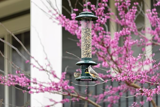 Squirrel Buster Evolution Truly Squirrel-Proof Bird Feeder, Double Cardinal Ring, 1.9-Pound Seed Capacity, Green