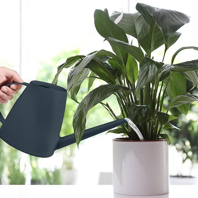Watering Can - for Indoor and Outdoor House Plant Garden - with Long Spout - 1/2 Gallon - Black