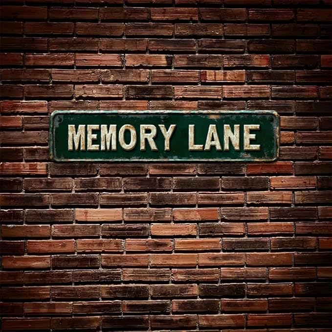 Bar Sign Bar Gifts Vintage Metal Wall Decor Sign"MEMORY LANE" Street Sign Funny Man Cave Decor Accessories for Home, Bar, Bathroom, Bedroom Unique Retro Tin Signs for Outdoor 4 X 16 inches